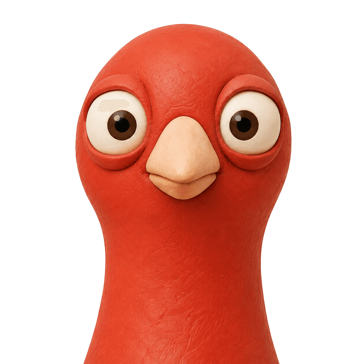 Close-up of Pingo the Pigeon looking straight at you with wide-open eyes